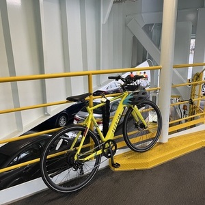 Aventón Soltera 7 Yellow or Gold