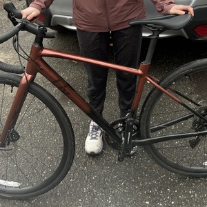 2022 Liv Avail AR 1 Red and Purple