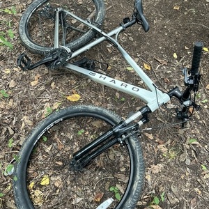 2021 Haro Flight line White and Silver, gray or bare metal