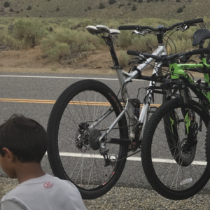 Niner Rip 9 Silver, gray or bare metal