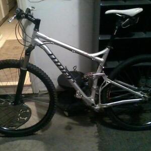 Niner Rip 9 Silver, gray or bare metal