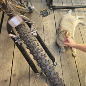 1994 Diamondback Sorrento Black