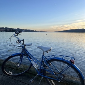 Civia Twin City Step Through 5 Speed Blue