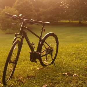 2018 Trek Dual Sport 3 Black