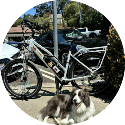 Photo of recovered bike